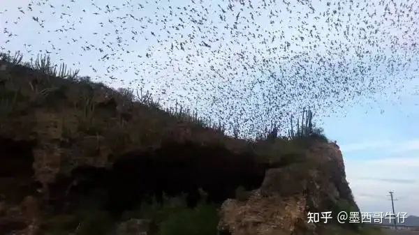 鲜为人知的墨西哥秘境 - 墨华网 (图35)