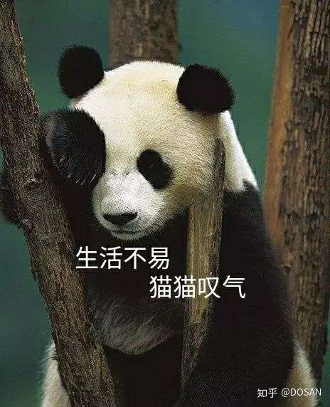 熊猫头叹气图片