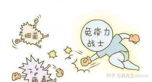 什么是免疫球蛋白