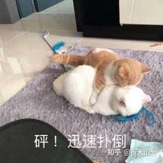 推倒的表情包-千图网