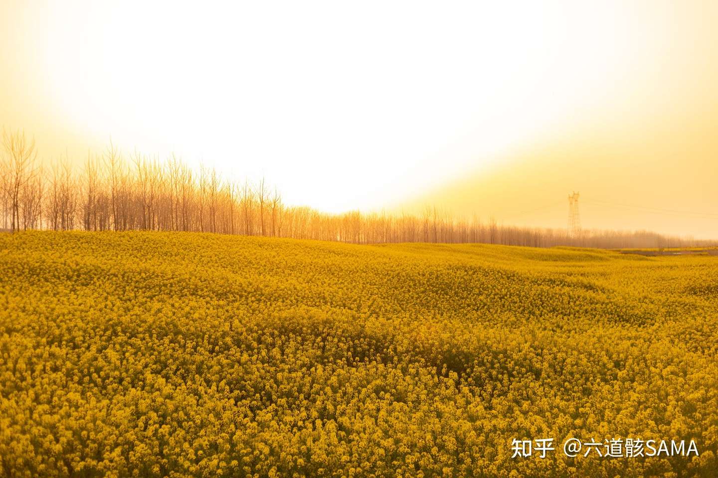 为什么 国歌 的英文是national Anthem 知乎