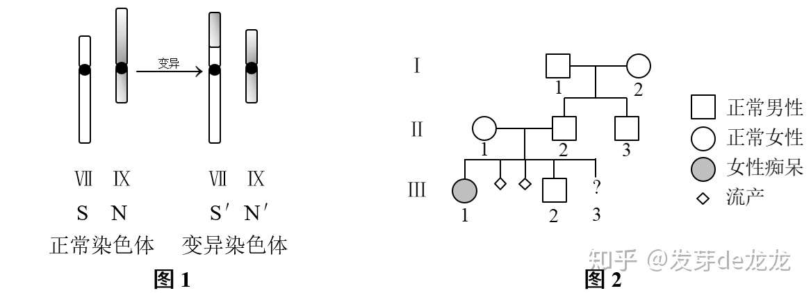 002 有答案 理科综合 化学与生物押题 一 知乎