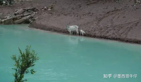 鲜为人知的墨西哥秘境 - 墨华网 (图23)