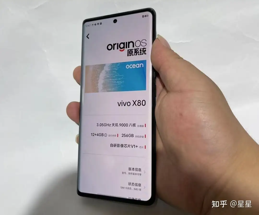 Vivo X80 中国語版 12GB/256GB/D9000-