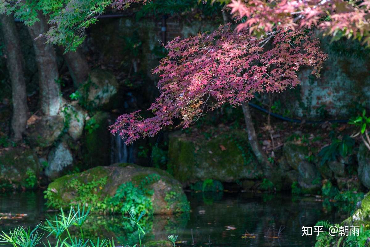 03 京都 南禅寺 输水 南禅院 天授庵 听松院 二 知乎