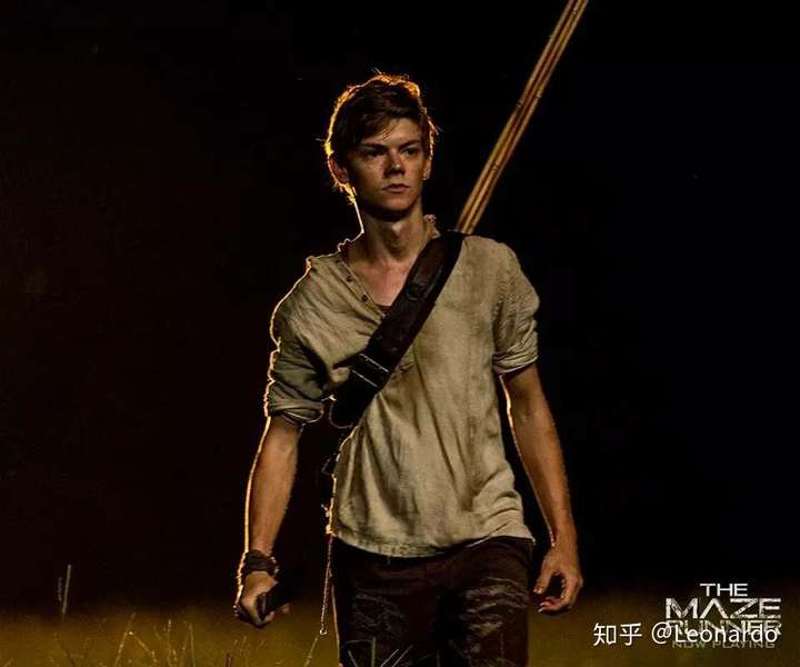 如何评价移动迷宫中的纽特