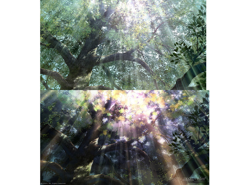 可能是最后一次写minori相关的东西 谨记于此 知乎