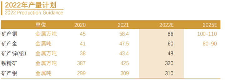 紫金矿业投资机会分析及2021年报表点评