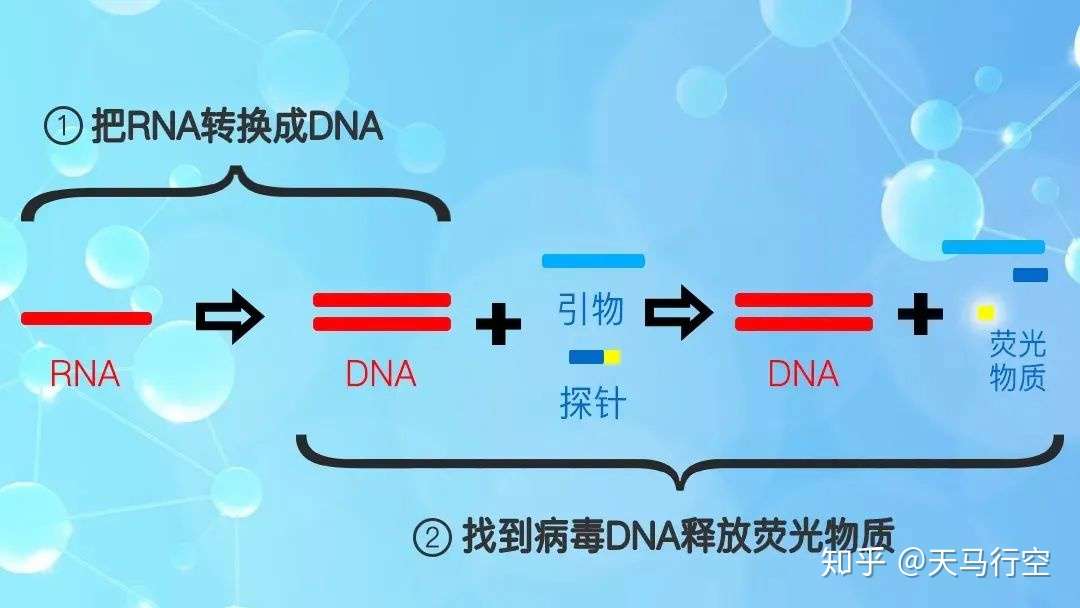 知乎专栏