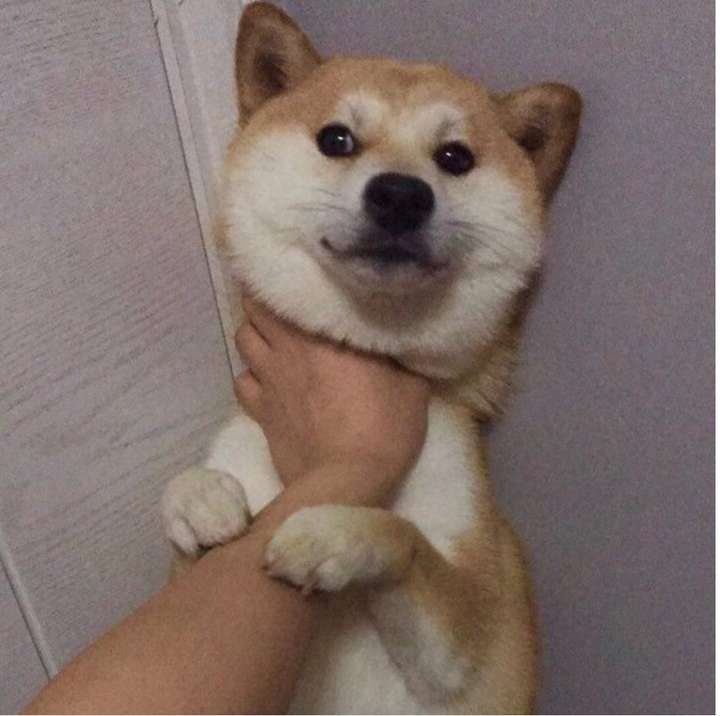 2020年,《狼人杀》已经凉了吗?