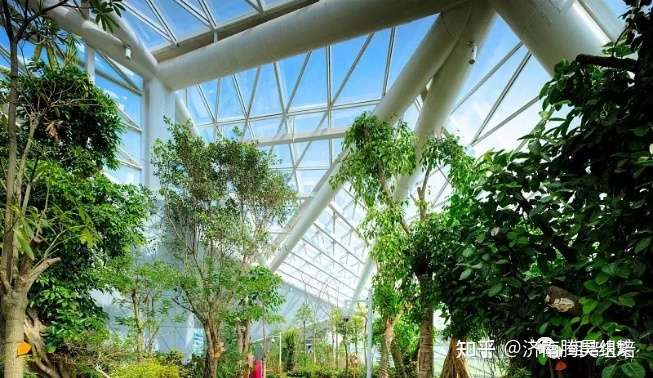 农业生产中的常见温室 知乎 农业生产中的常见温室 知乎