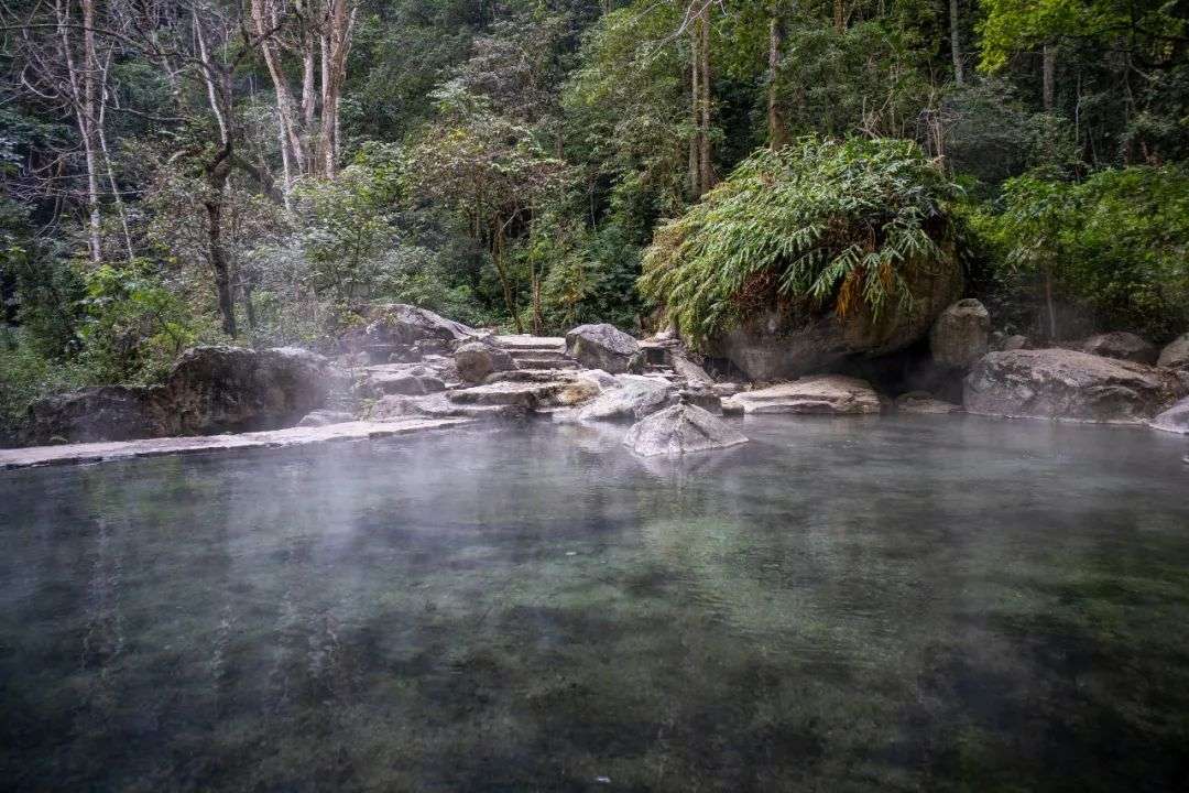通火车了 现在就出发 穿梭于雨季凉爽的咖啡庄园 温润古镇 知乎