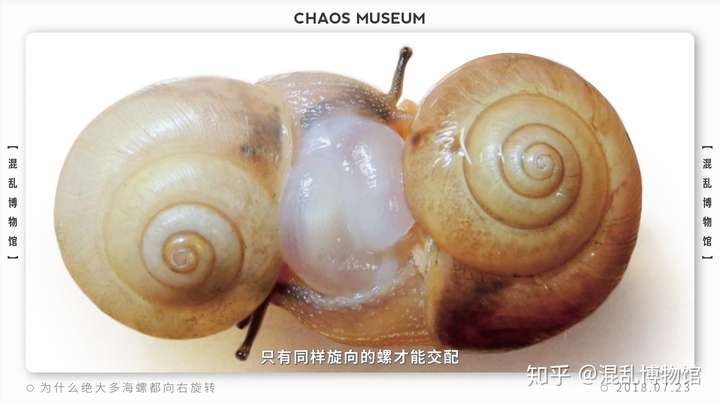 有哪些让你觉得神奇的冷知识?(图3)