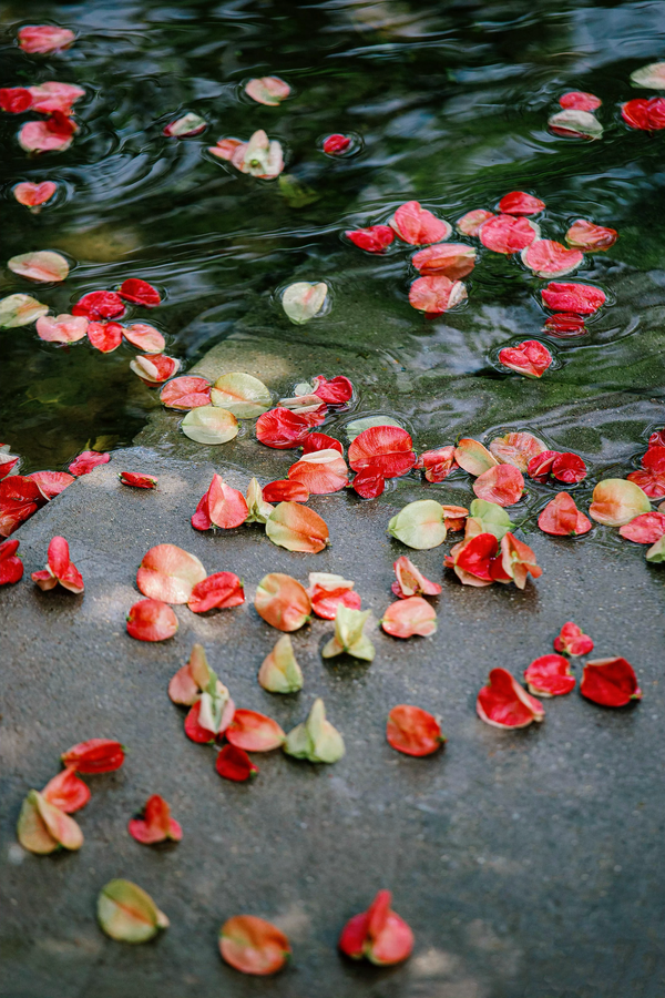 昱之 的想法: 不要心急 时间的参照物 永远是少年