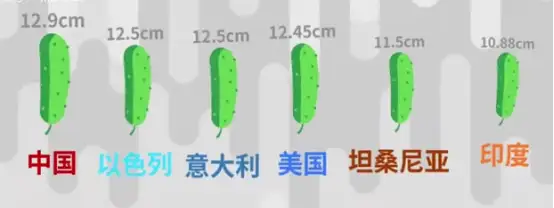 飞机杯最强榨汁机“榨汁神器”飞机杯丨DID主播测评6