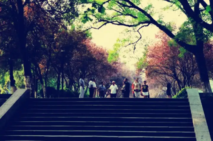 有声有色的大学：大学生入学教育与学涯规划