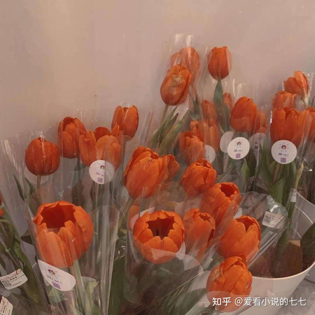 完整版 苏妍心 薄靳言抖音小说 苏妍心 薄靳言全文在线阅读已完结短篇 大结局 知乎 完整版 苏妍心 薄靳言抖音小说 苏妍心 薄靳言全文在线阅读已完结短篇 大结局 知乎