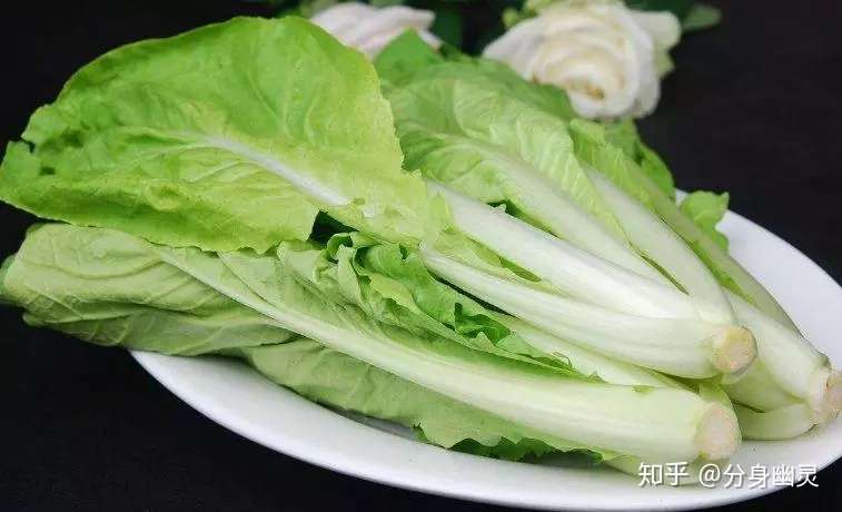 蔬菜专题 关于小白菜 你都知道哪些 知乎