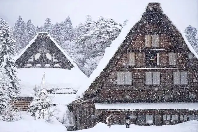 阳光旅行家9加1全新升级·邂逅童话雪国白川乡畅享富士山日式温泉- 知乎