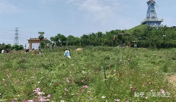 国内比较大的助孕机构（试管婴儿的利弊有哪些）