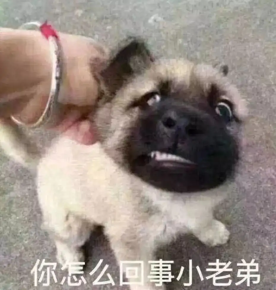 犬 自慰