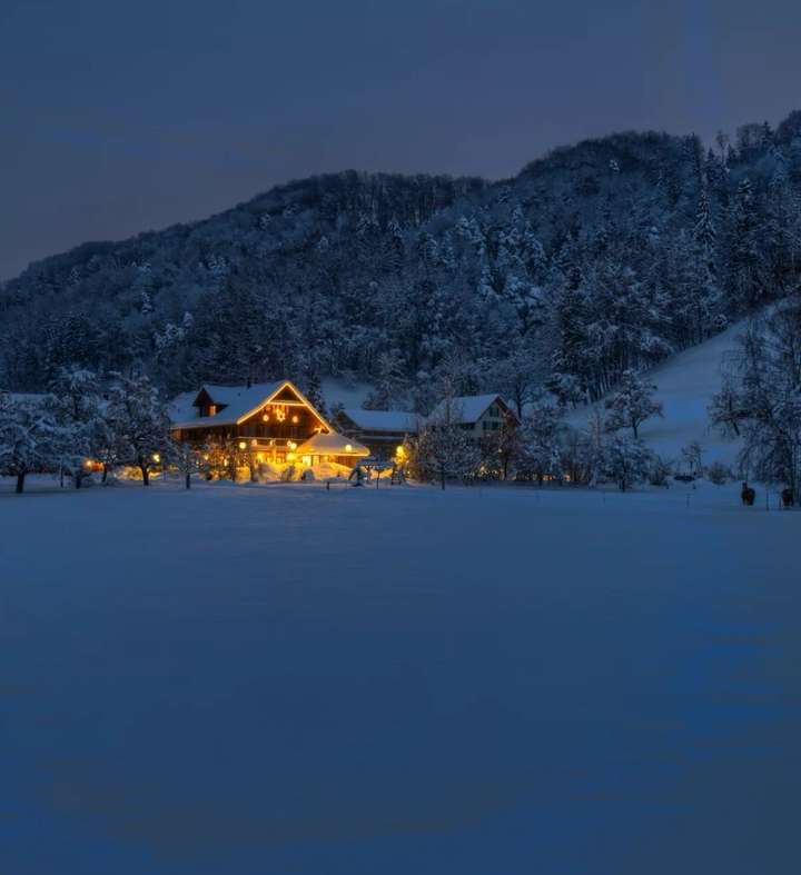 描写冬天的诗句： 绿蚁新醅酒，红泥小火炉。晚来天欲雪，能饮一杯无。-第3张图片-诗句网