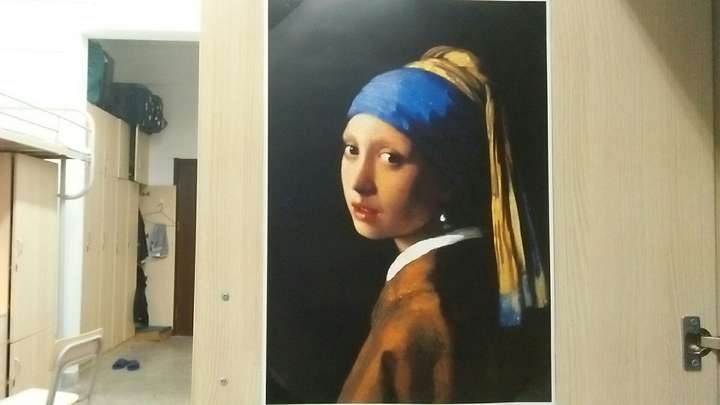 荷兰名画「戴珍珠耳环的少女」是否在售?现价几何?