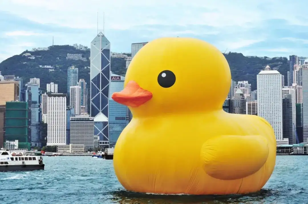 环游世界的大黄鸭- 知乎