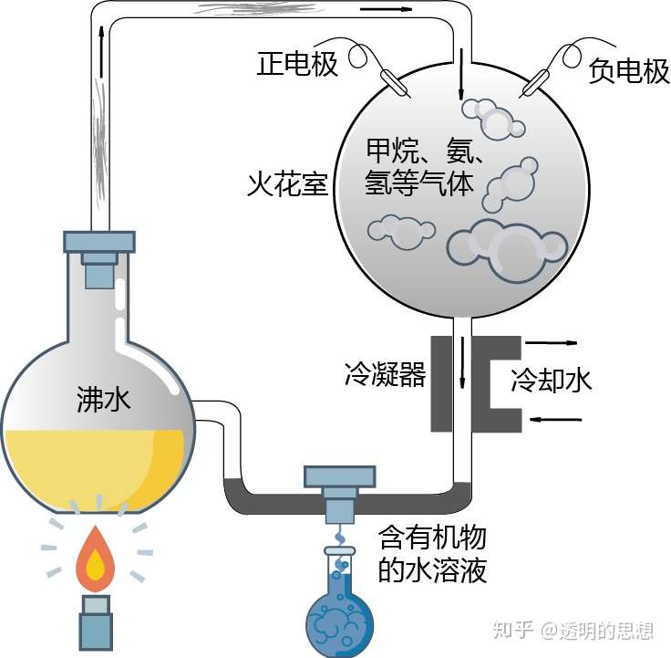 生命之旅 化学进化 中 进化的历史006 知乎