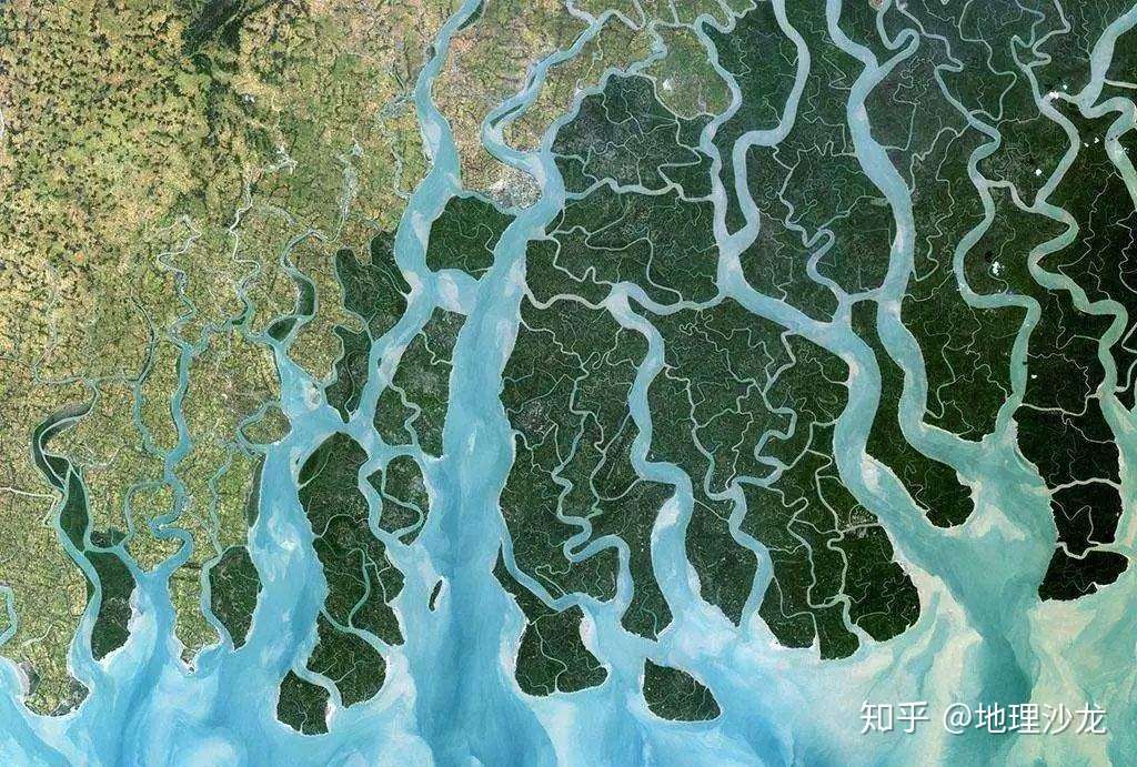 世界上面积最大的 河口三角洲 在哪里 知乎