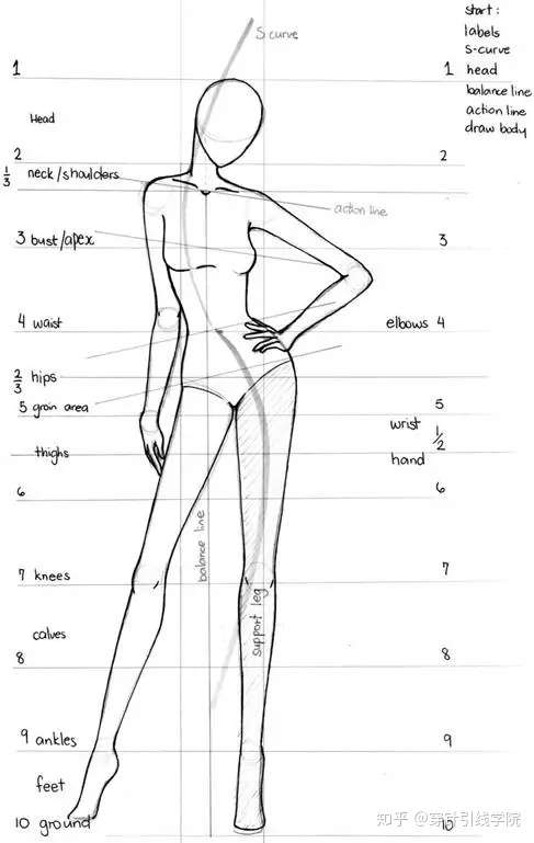 人体与衣褶如何处理?服装手绘这么学……