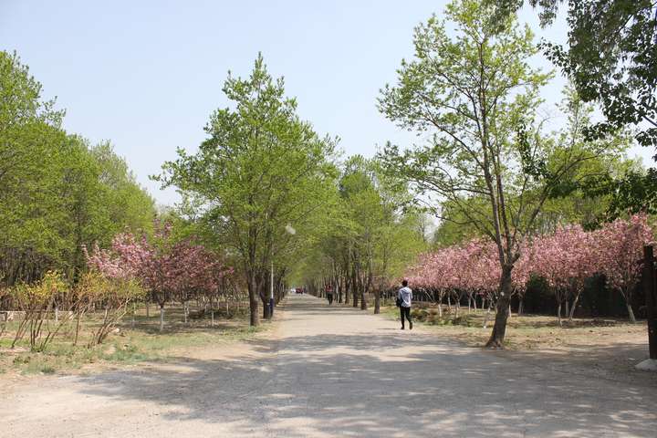 杜仲公園內