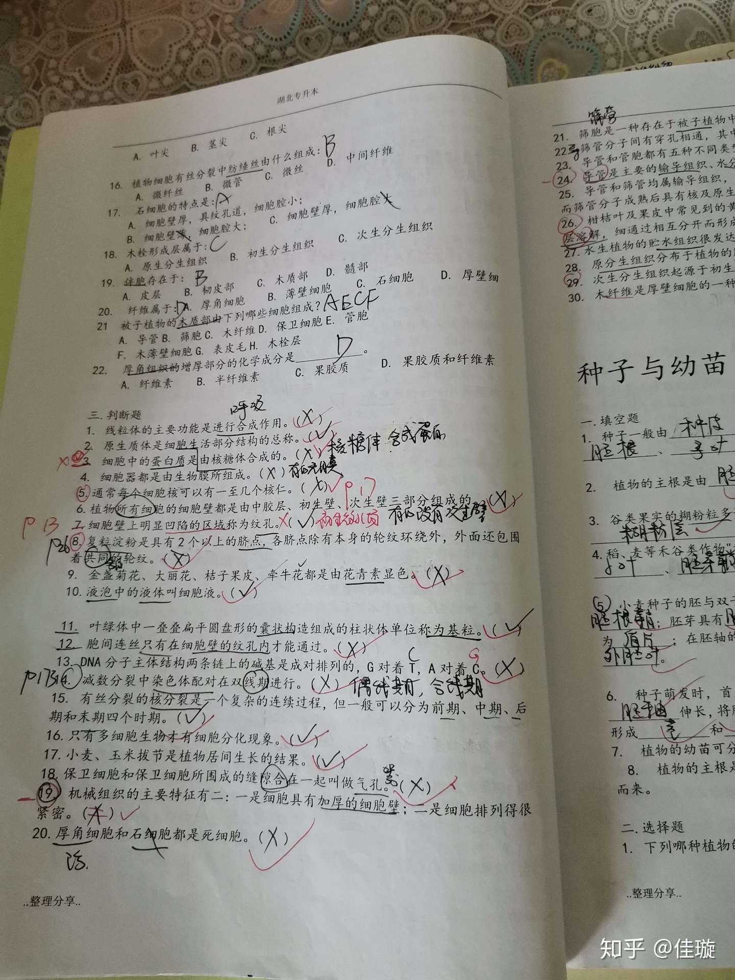 江汉大学专升本 知乎