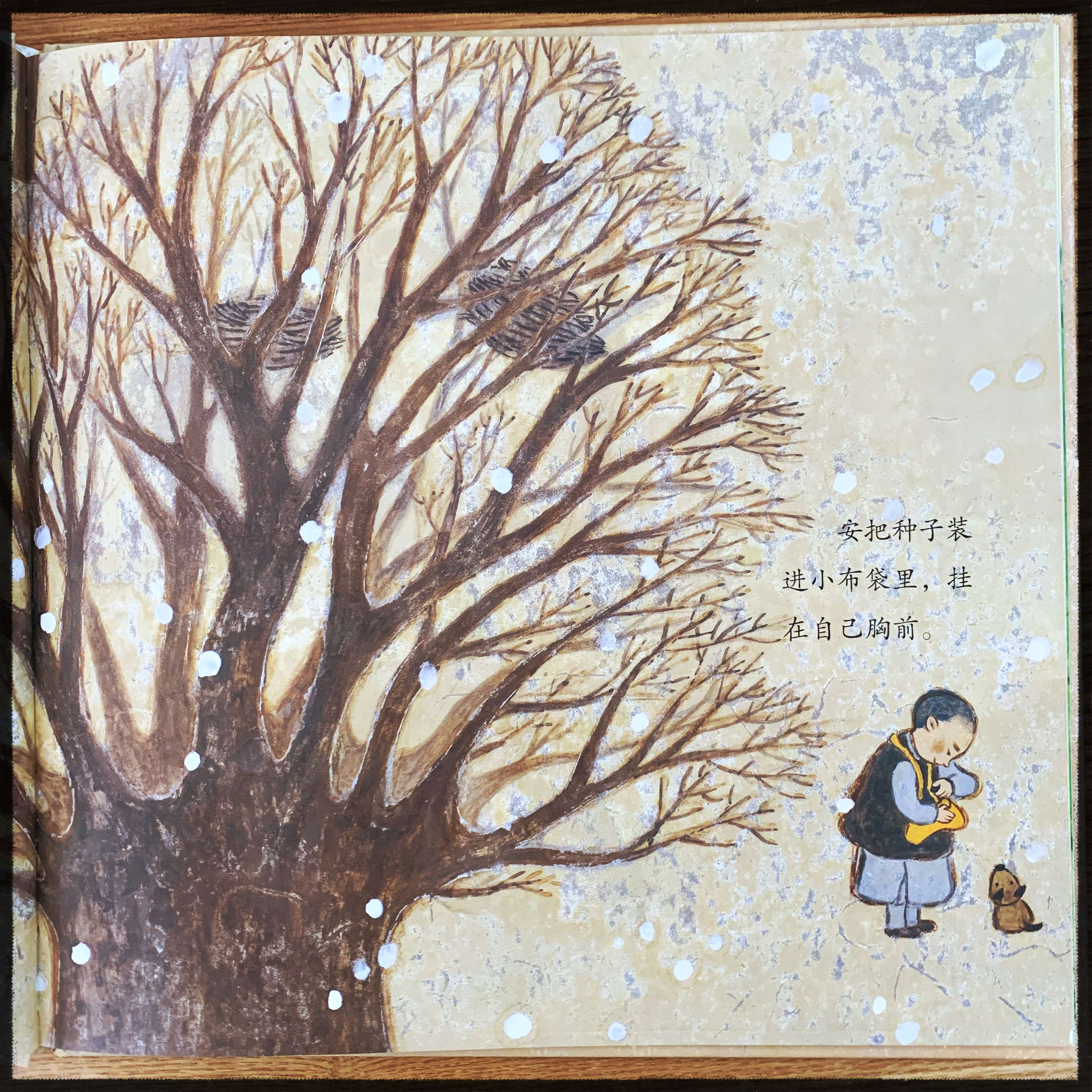 可蓝阅读 的想法: 《安的种子》 | 《安的种子》讲述了不同… - 知乎