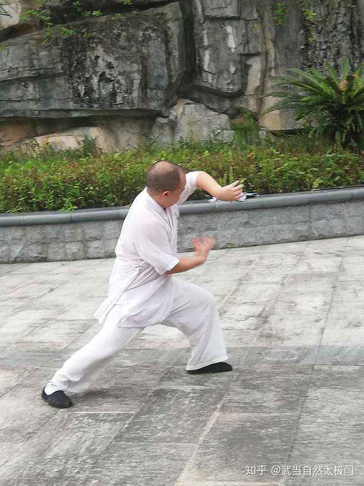 武当太极拳的缠丝劲