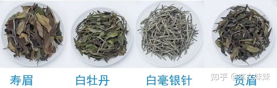 白茶品牌推荐！福鼎白茶怎么选？寿眉/白牡丹/白亳银针哪个好？口粮茶