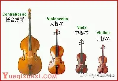 弓弦乐器有小提琴,中提琴,大提琴和低音提琴四种.