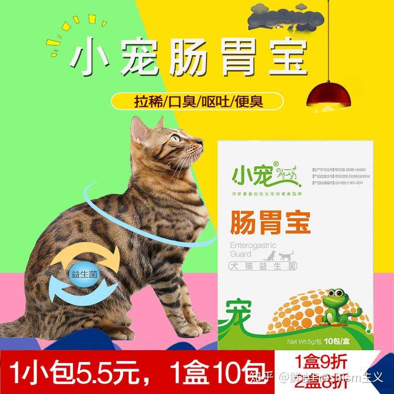 猫咪吐了?怎么回事? - 知乎