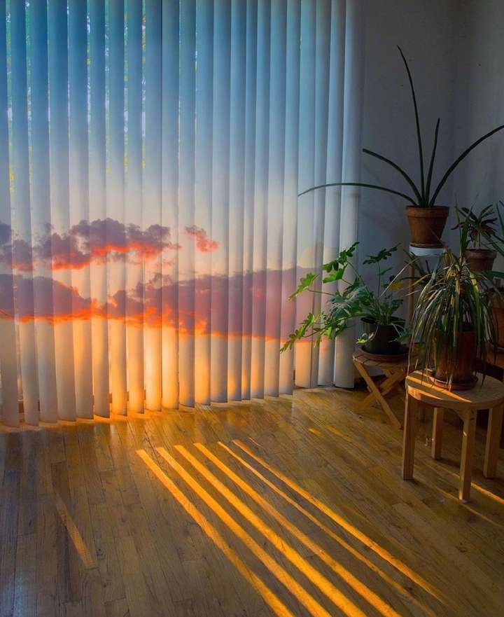普通又温柔文案说说分享:人和和植物、星辰没什么两样~插图3 普通又温柔文案说说分享:人和和植物、星辰没什么两样~插图3