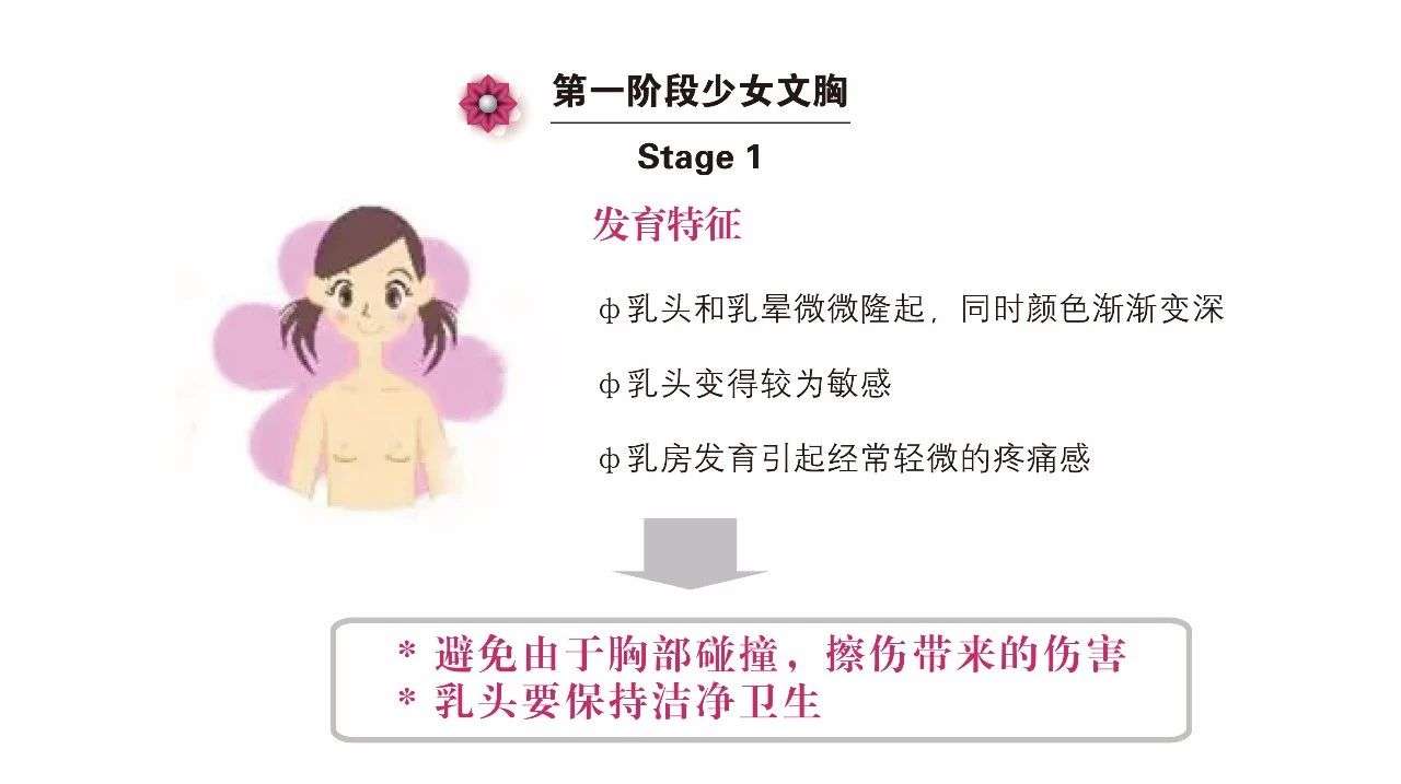 初发育少女的第一件文胸如何选择 知乎