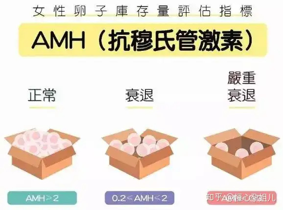 成都三代试管多少钱（AMH小于1＝怀不上？生殖科专家教你如何试管助孕！）