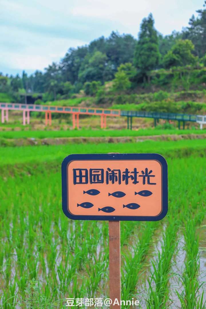 农场,滑草场,滑雪场,原来这才是盛夏"快乐星球"!