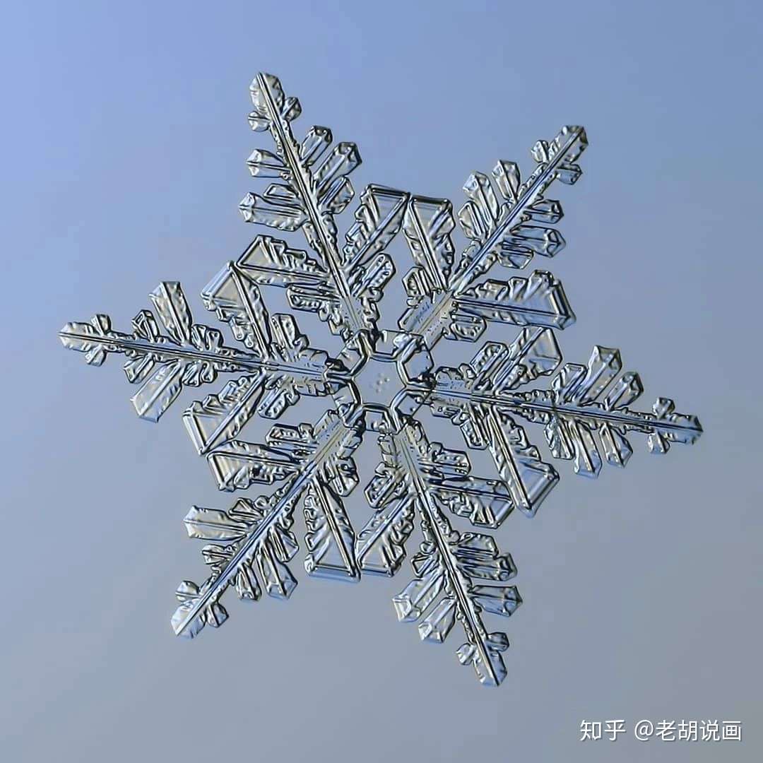 摄影 雪花可以有多美 知乎