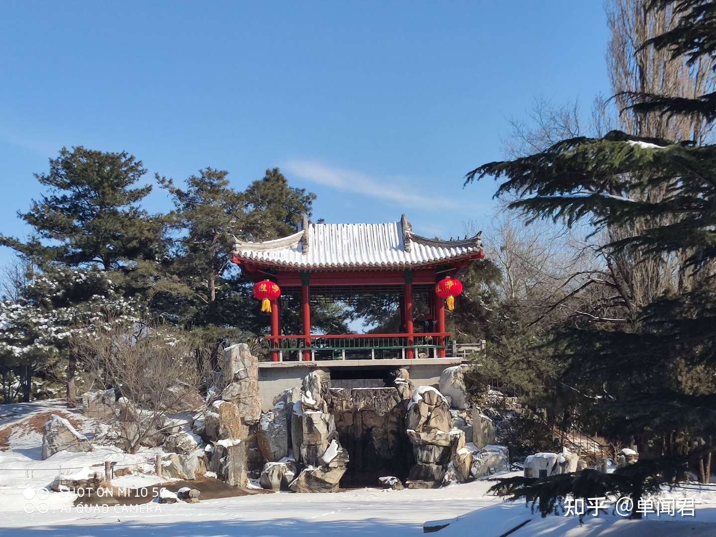 静雪春 穿林龙 知乎