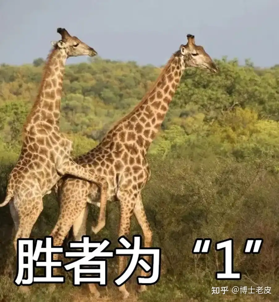 动物界交配时长统计表（人再不努力，猪都比你时间长） - 知乎