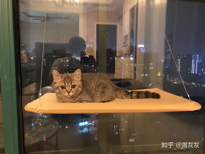 快来看（新手猫粮推荐）怎么选猫粮，(图8)