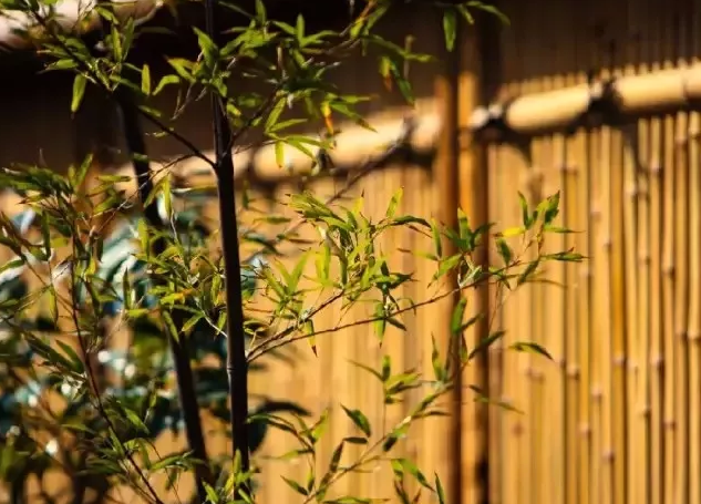 日式园林设计6元素 附样式 超全 知乎