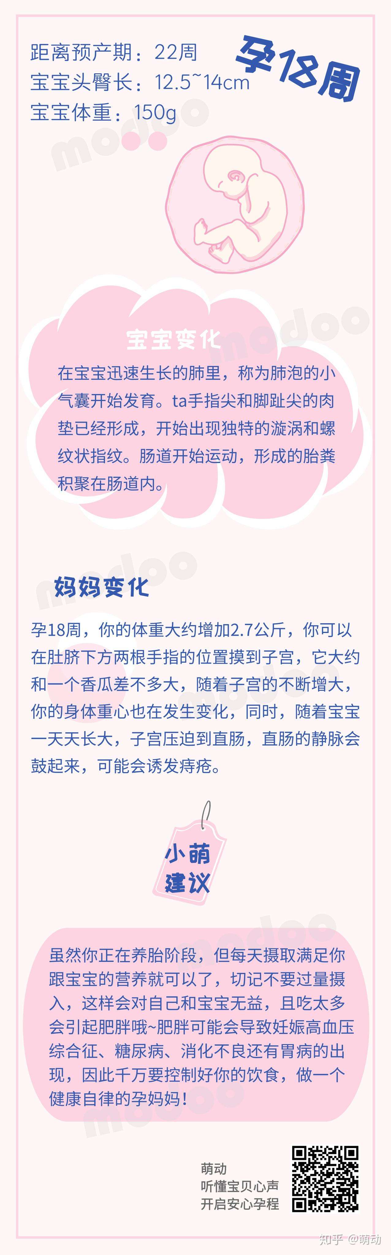 孕周记 孕18周变化与建议 知乎