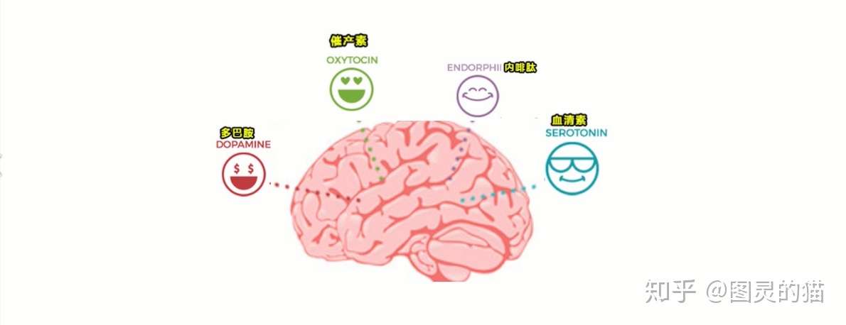 如何让自己像打王者荣耀一样发了疯的学习?-知社