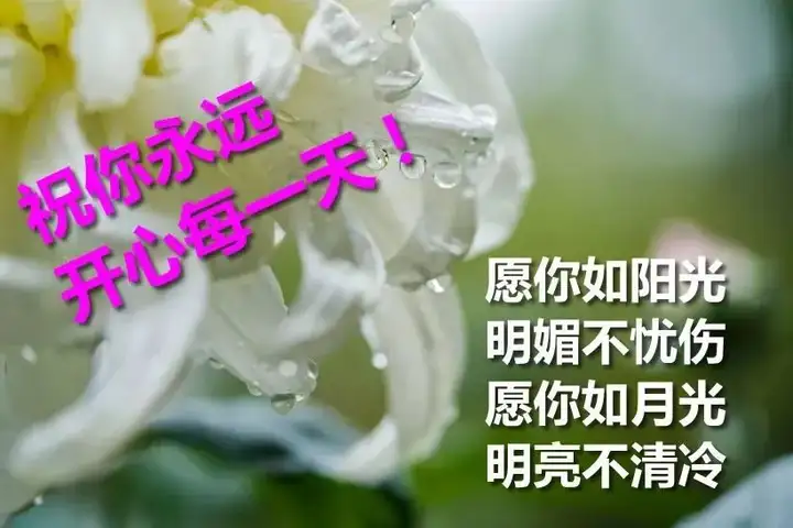 早上好超级漂亮动态祝福图片带字，暖心的早安问候图片